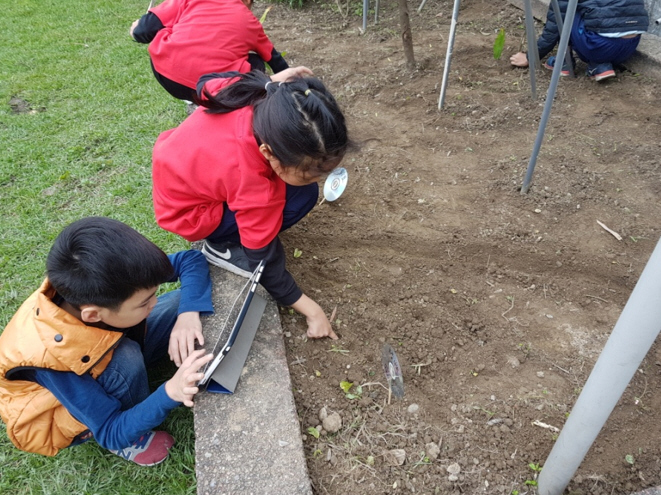 學生自己種下種子並利用平板記錄