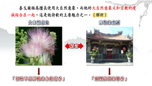 泰戈爾詩選第64選_語文基礎縮圖