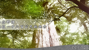 常常我想起那座山_開場動畫縮圖