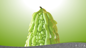 白玉苦瓜_開場動畫縮圖