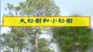 chuanghua_1186_統整活動縮圖
