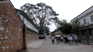 雲南鄉村街景縮圖