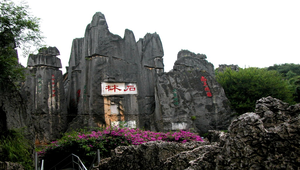 雲南石林之三縮圖