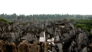 雲南石林之十縮圖