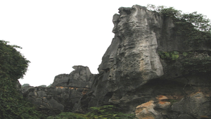 雲南石林之九縮圖
