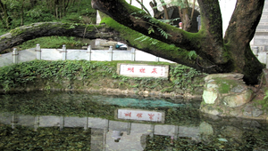 雲南大理蝴蝶泉縮圖