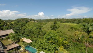 位於印尼峇里島烏布田園風光縮圖