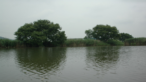 日本近江八藩風光縮圖