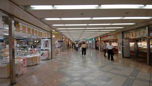 日本大版地下街風光縮圖