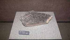 日本九州阿蘇火山爆發時噴出的火山彈5縮圖