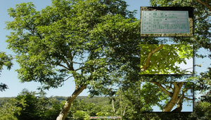 084685_514_20081213182851縮圖