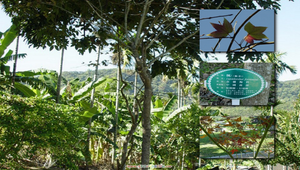 084685_514_20081213182543縮圖