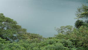 084730_1691_20091129170404縮圖