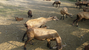 084727_1952_20091130212832縮圖