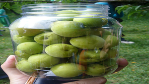 084727_1951_20091130212421縮圖