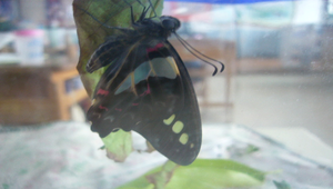 084727_1907_20091130175211縮圖