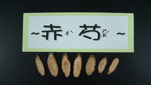 20060522143155_file3縮圖