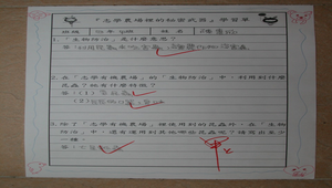 20090528-094328f3-864縮圖