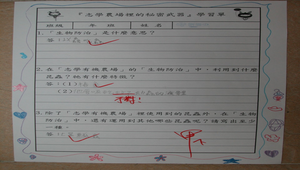 20090528-094328f2-864縮圖