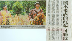 20090525-080337f3-639縮圖