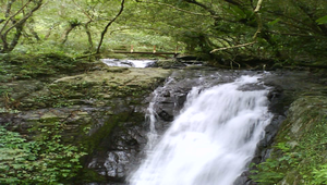 20090521-035644f1-639縮圖