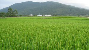 20090520-090338f1-46縮圖