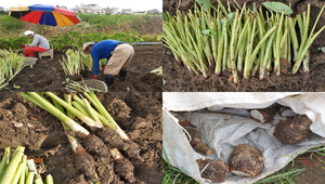 20090512-102157f1-46縮圖