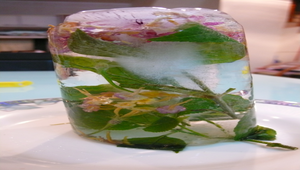 20090501-083448f1-70縮圖