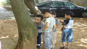 林間教室體驗活動縮圖