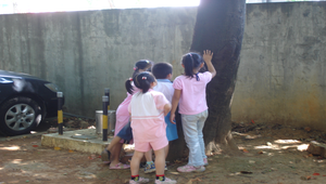 TYC_rsc00001013縮圖