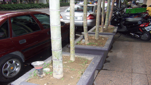 竹之美--大自然之美賞析教材系列_005縮圖