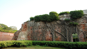 DSC_8188縮圖