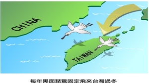 黑面琵鷺縮圖