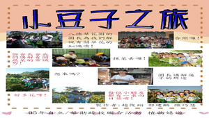 植物嬉遊記社群團隊教學成果縮圖