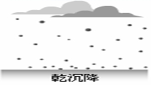 乾沉降縮圖