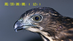 data\1064縮圖