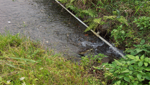 主題-員山鄉水之美--自然之美_0738縮圖