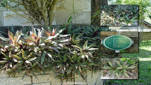 084685_514_20081213182635縮圖