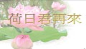 荷日君再來簡報.ppt縮圖