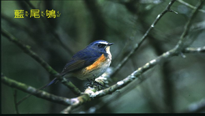 data\1030縮圖