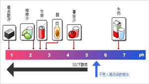 日常常見液體的酸鹼度縮圖