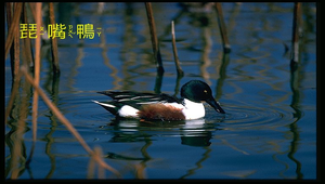 data\1163縮圖