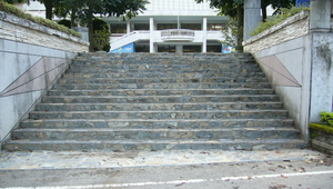 樓梯縮圖