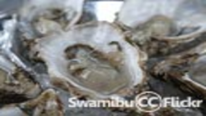 海底牛奶教案縮圖