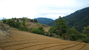 風景縮圖