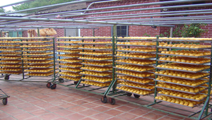 在戶外曝曬的柿餅縮圖