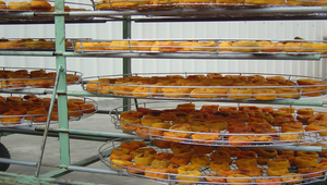 一批曬好的柿餅縮圖