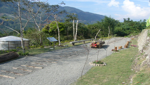 木馬道照片縮圖