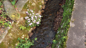 員山鄉水之美縮圖