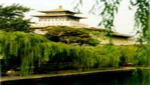 第三冊第三課大明湖 ( 素材/垂楊.jpg )縮圖